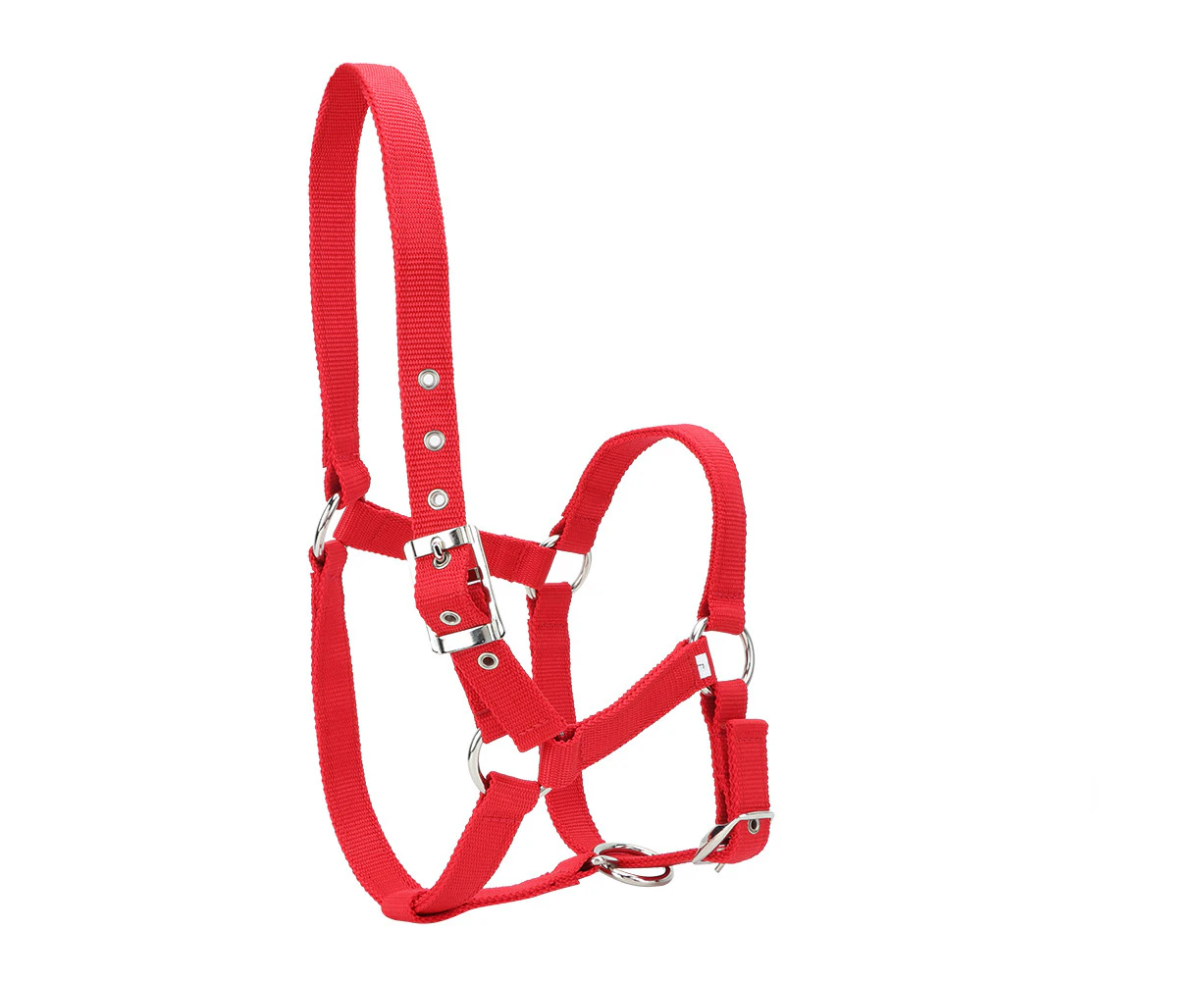 High Density 6mm Thickened Webbing Horse Bridle Control Halter Riding Accessories Red Color