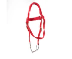 Adjustable Horse Bridle Rein Harness Headstalls with Soft Cushion Red