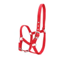 High Density 6mm Thickened Webbing Horse Bridle Control Halter Riding Accessories Red Color