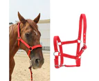 High Density 6mm Thickened Webbing Horse Bridle Control Halter Riding Accessories Red Color