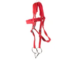 Adjustable Horse Bridle Rein Harness Headstalls with Soft Cushion Red