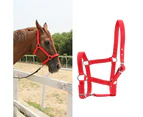 High Density 6mm Thickened Webbing Horse Bridle Control Halter Riding Accessories Red Color