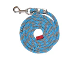 Horse Leash Thickened Tug Resistant Nylon Horse Rope for Livestock Pet Horse Training 6.6ft Long Blue Grey