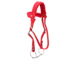 Red Adjustable Horse Bridle Rein Harness Headstalls Removable Snaffle with Soft Cushion