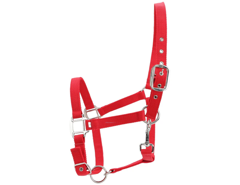 6mm Thickened Red Color Adjustable Horse Bridle Control Halter Riding Accessories