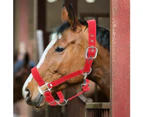 6mm Thickened Red Color Adjustable Horse Bridle Control Halter Riding Accessories