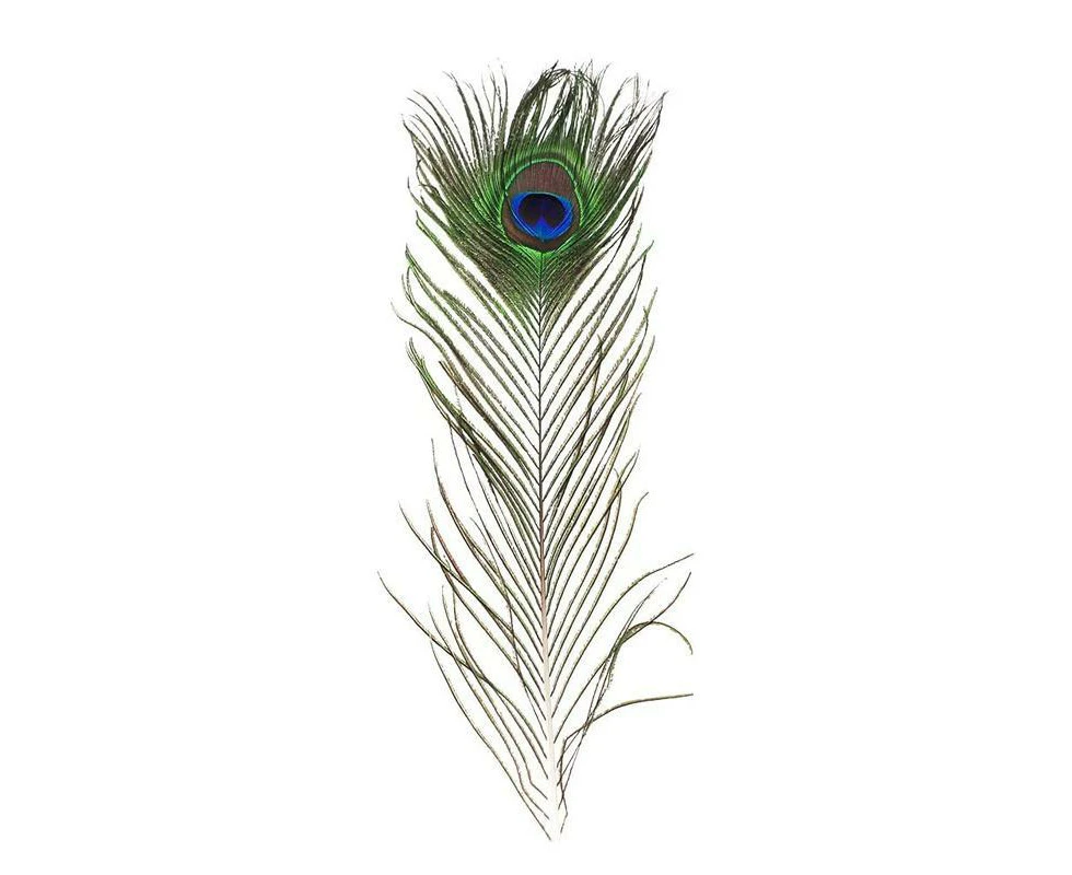 5-10PCS Natural Peacock Tail Eyes Feathers 75-80cm 26-30cm DIY Craft Vase Decor