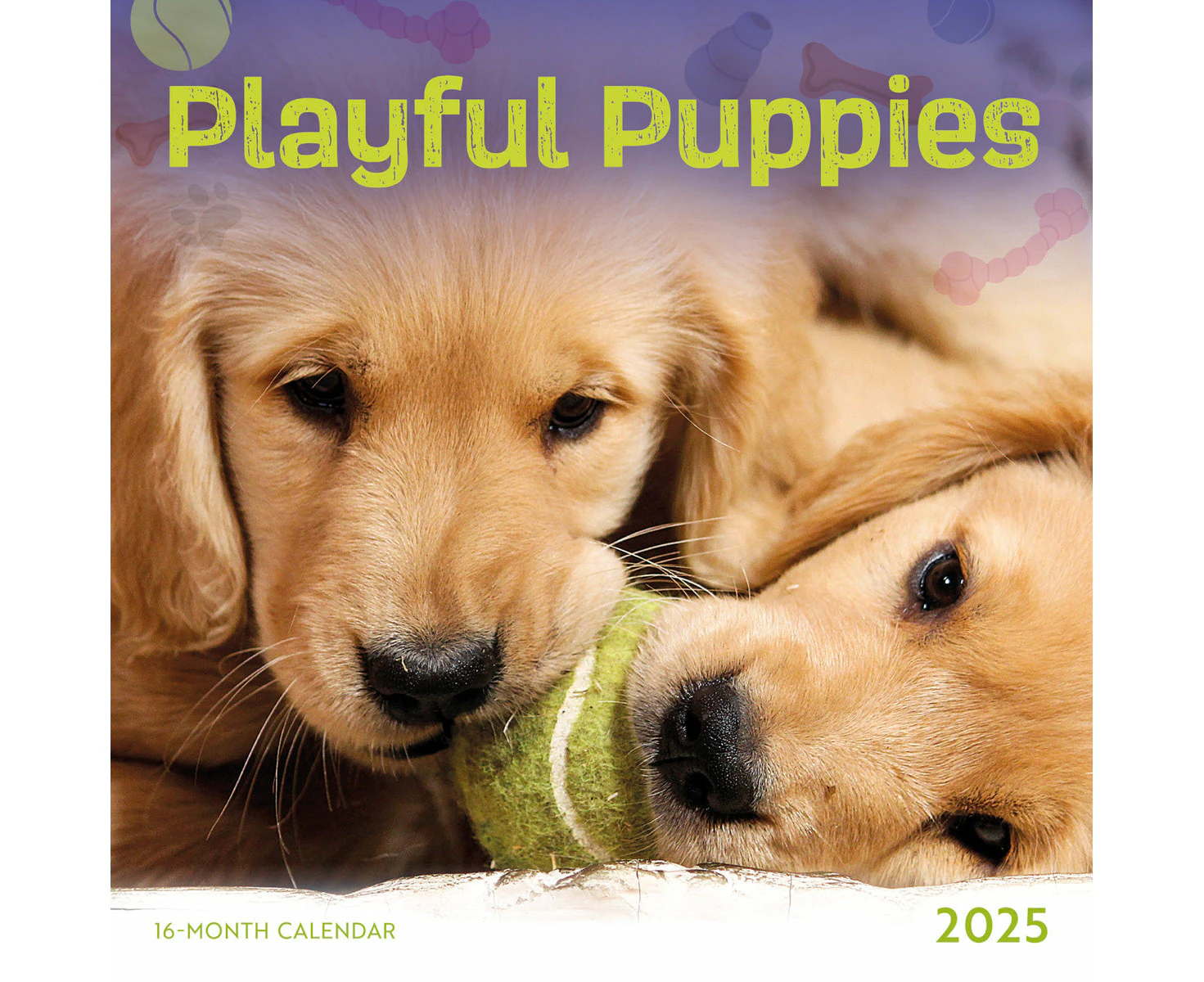 2025 Playful Puppies Mini Wall Calendar