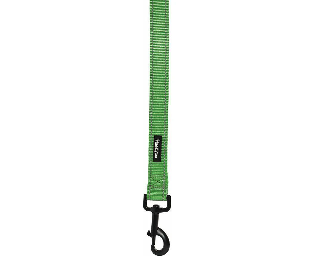 Huskimo Small Amazon Green Altitude Reflective Dog Lead 25mm x 120cm