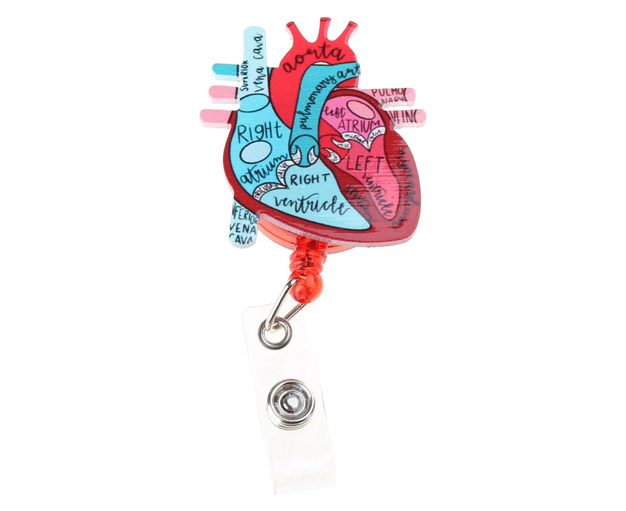 Anatomical heart chart retractable Badge-B - B