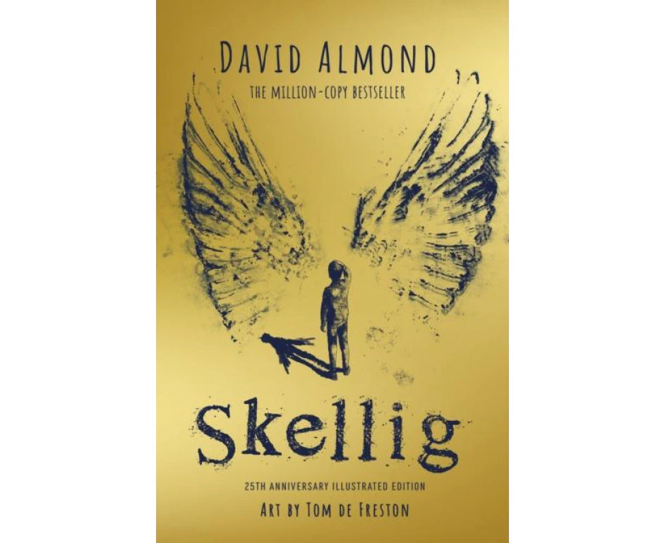 Skellig the 25th anniversary illustrated edition by David Almond