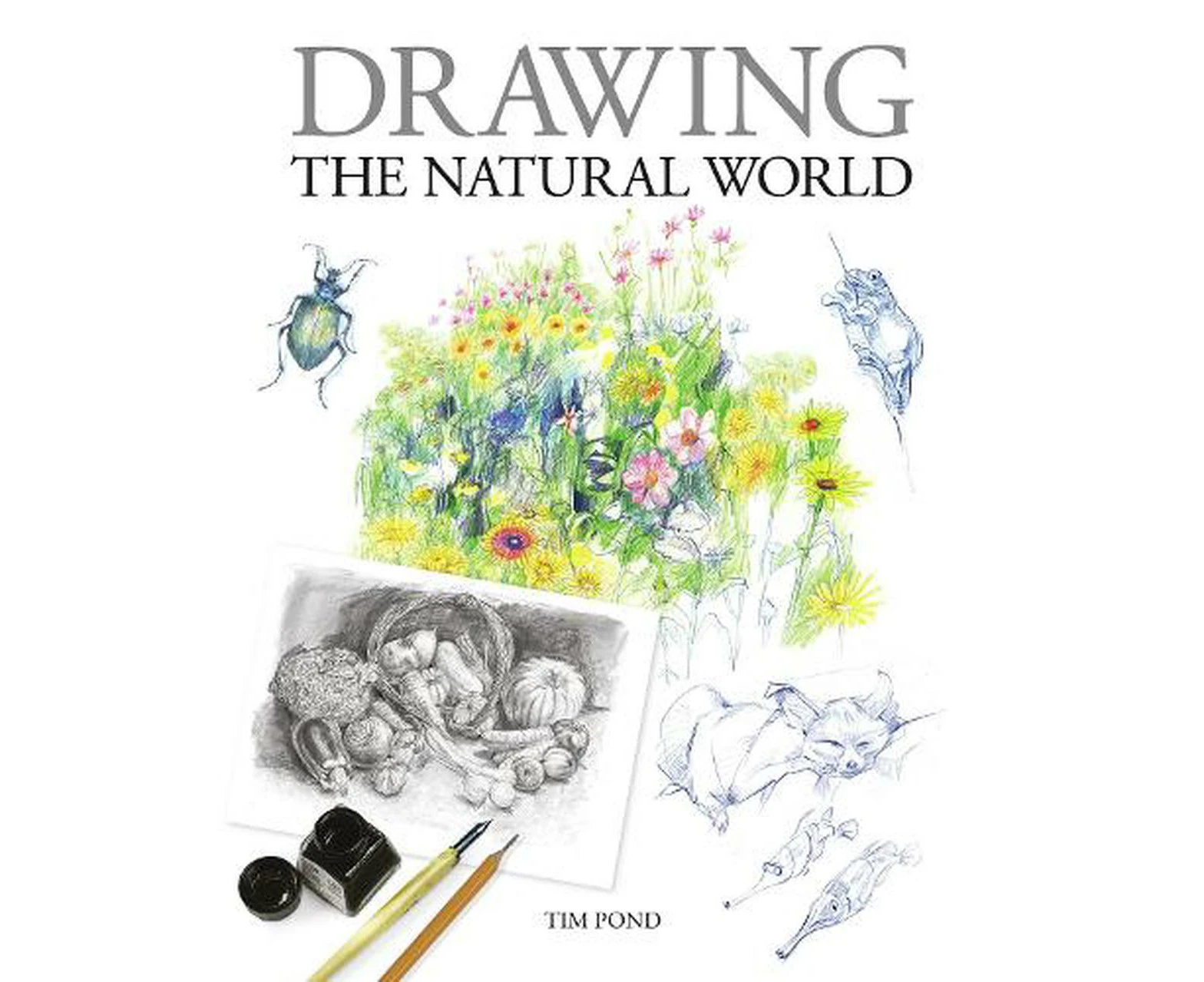 Drawing the Natural World