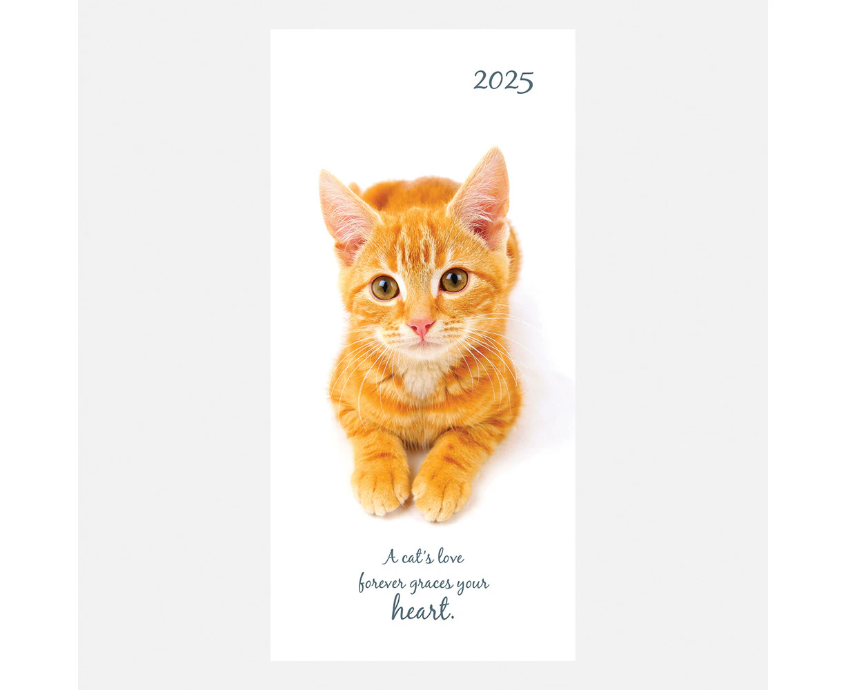 2025 Diary Cute Kittens Pocket Week to View Gifted Stationery GSC25360