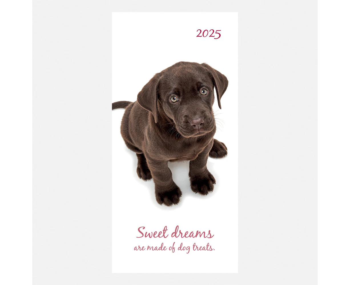 2025 Diary Adorable Dogs Pocket Week to View Gifted Stationery GSC25350