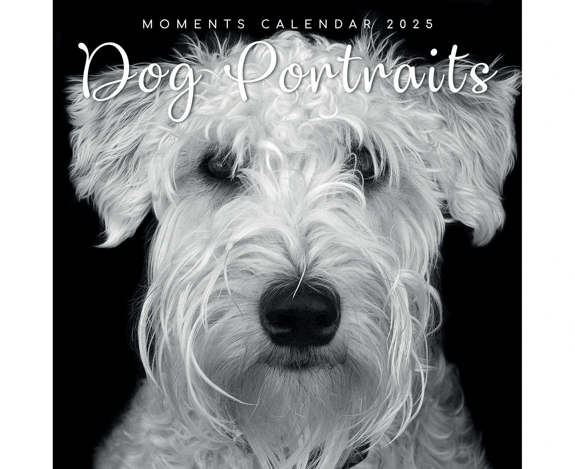 2025 Calendar Dog Portraits 16-Month Square Wall Gifted Stationery GSC25013