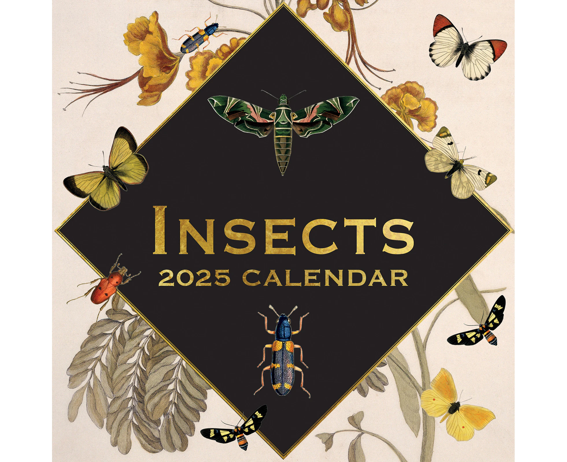 2025 Calendar Insects 16-Month Square Wall Gifted Stationery GSC25078