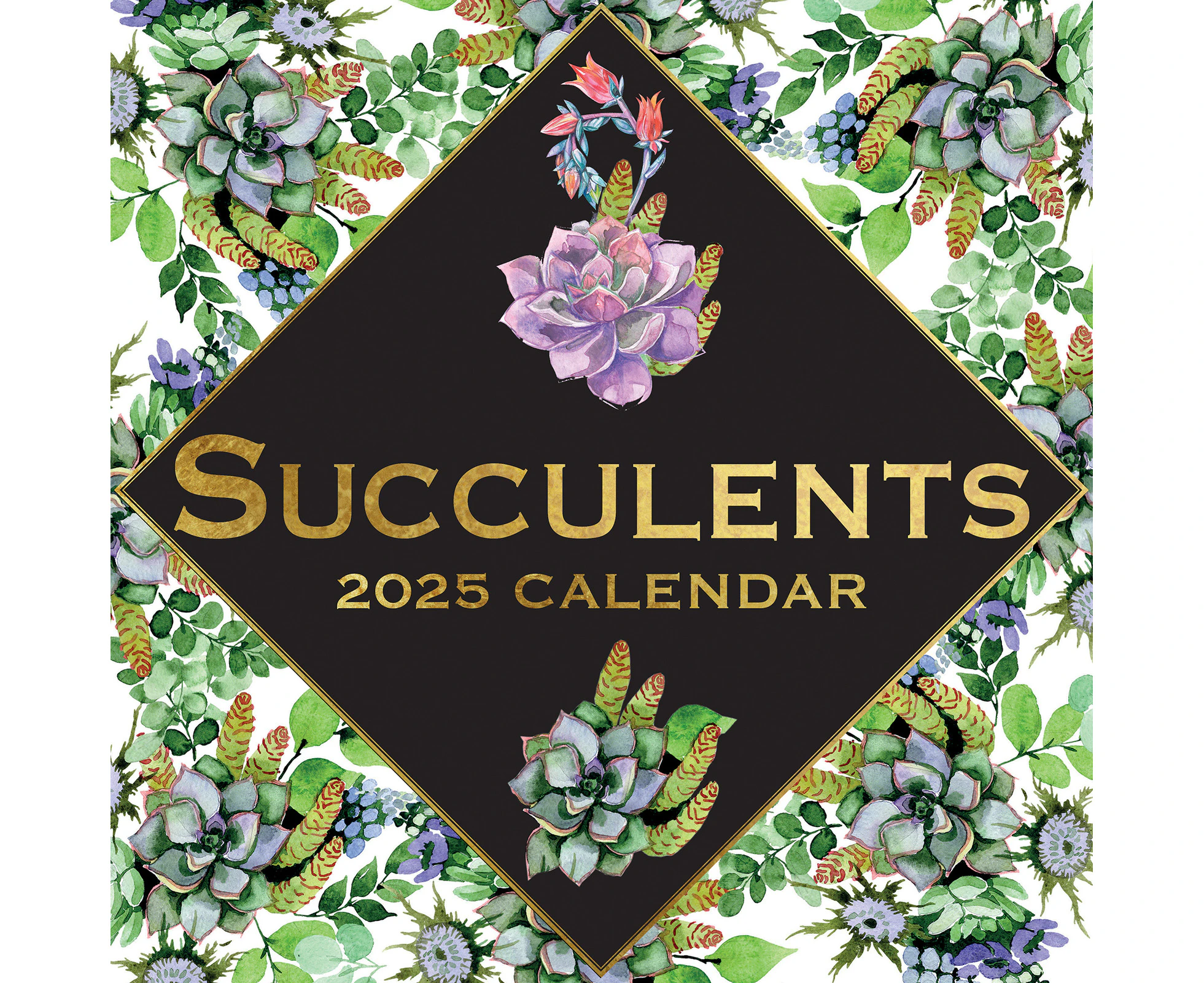 2025 Calendar Succulents 16-Month Square Wall Gifted Stationery GSC25199