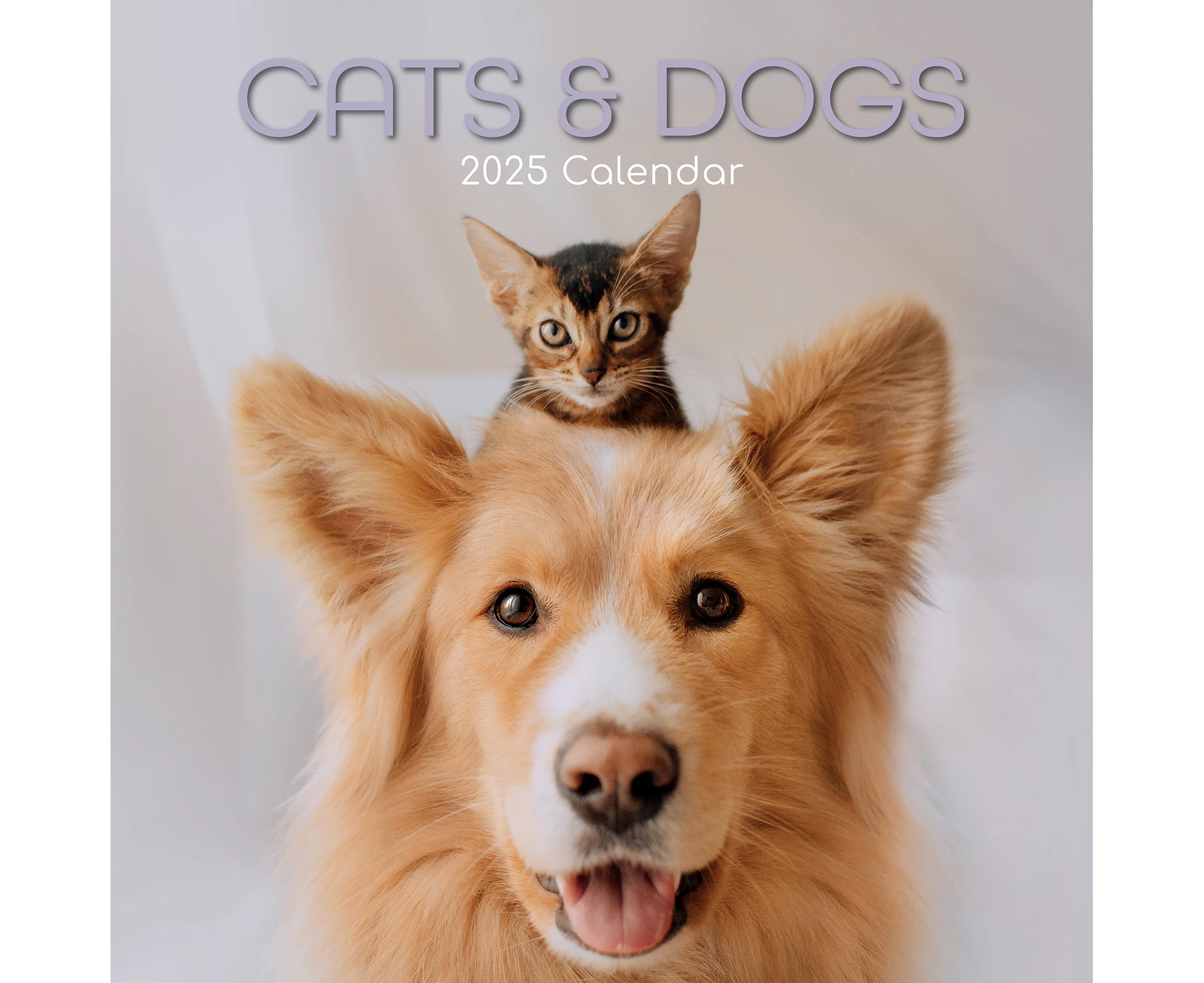 2025 Calendar Cats & Dogs 16-Month Square Wall Gifted Stationery GSC24963