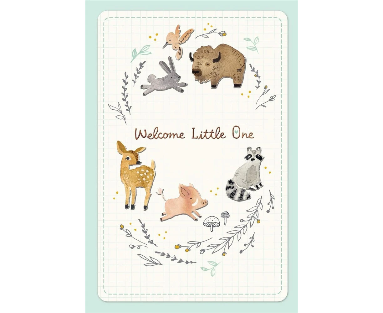 Hallmark Card - Welcome Little One Baby Card