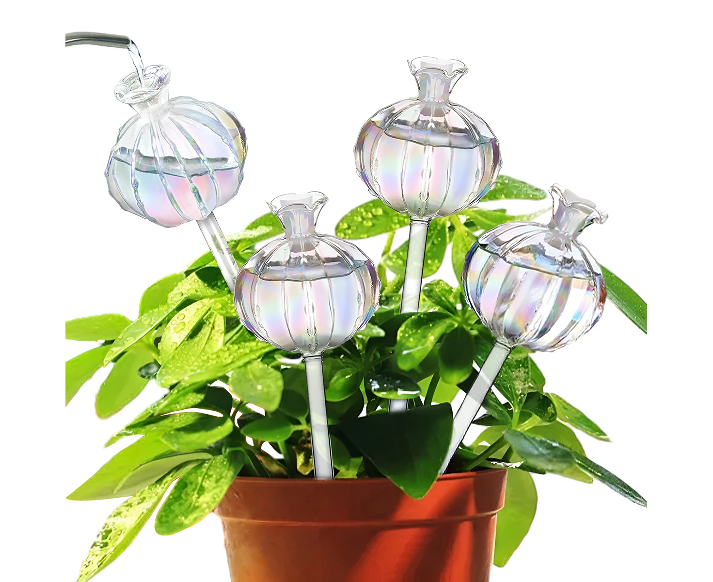 Plant Watering Globes - Self Watering Globes Watering Globes For Indoor Plants Cactus Plant Watering Bulbs,Dazzling