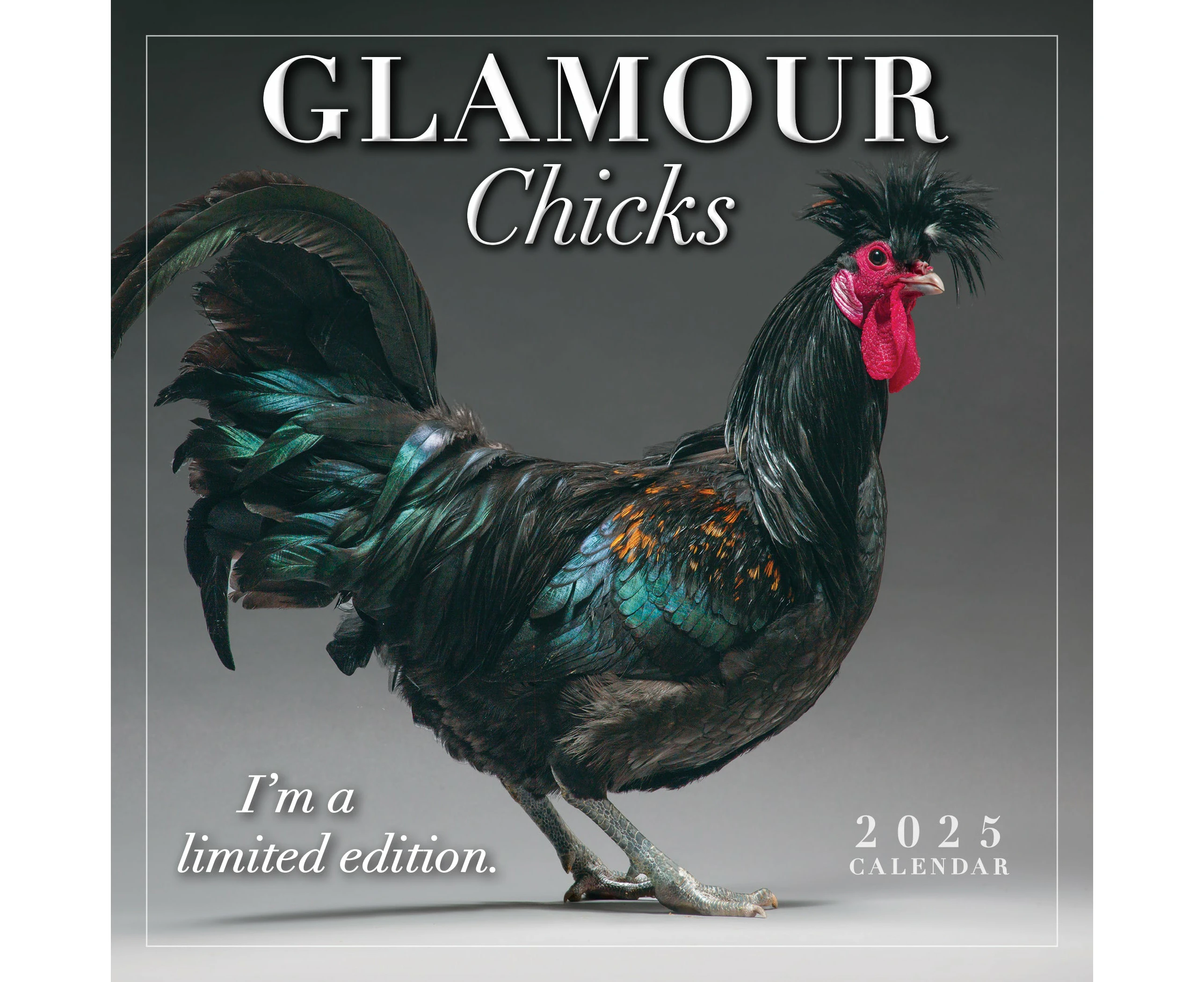 2025 Glamour Chicks Mini Wall Calendar