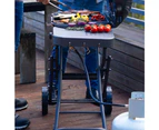 Portable Gas BBQ Grill On Wheels