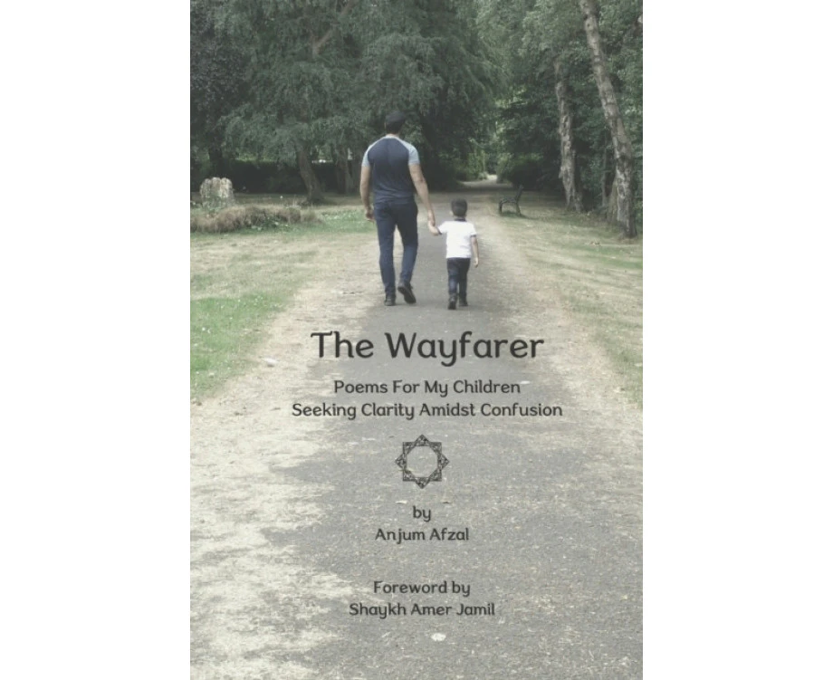 The Wayfarer by Anjum Afzal