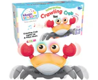 Magic Sensory Interactive Crawling Crab Toy - Orange