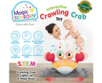 Magic Sensory Interactive Crawling Crab Toy - Orange