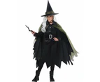 Cool Teen Girl's Green Witch Halloween Costume Girls