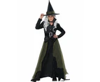 Cool Teen Girl's Green Witch Halloween Costume Girls