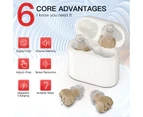 Rechargeable Hearing Aid for Elderly In-Ear Mini Sound Amplifier Invisible Hearing Aids Sound Collector