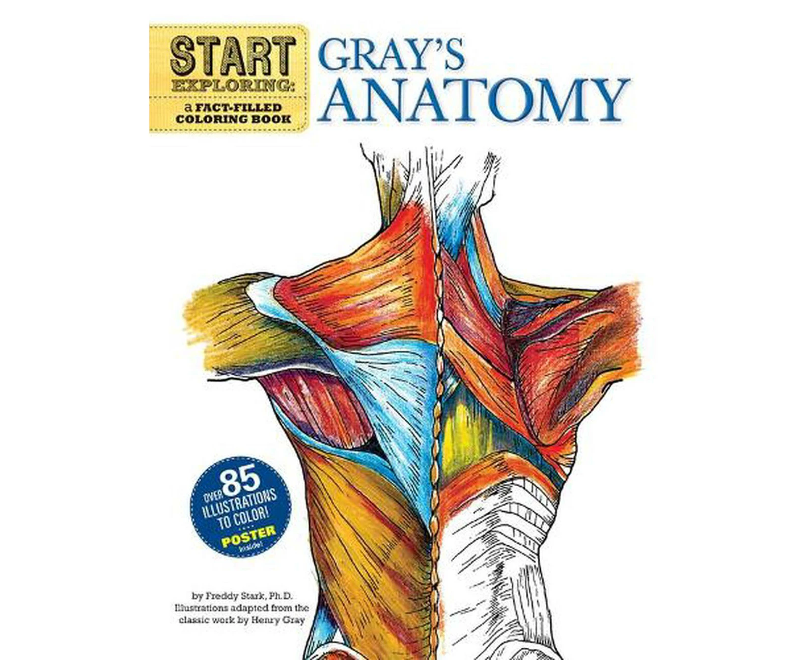 Start Exploring: Gray's Anatomy