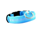 Fashionable LED Dog Collar, USB Rechargeable, Waterproof Light-Up Collar for Small to Large Dogs