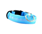 Fashionable LED Dog Collar, USB Rechargeable, Waterproof Light-Up Collar for Small to Large Dogs