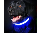 Fashionable LED Dog Collar, USB Rechargeable, Waterproof Light-Up Collar for Small to Large Dogs