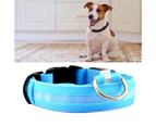 Fashionable LED Dog Collar, USB Rechargeable, Waterproof Light-Up Collar for Small to Large Dogs