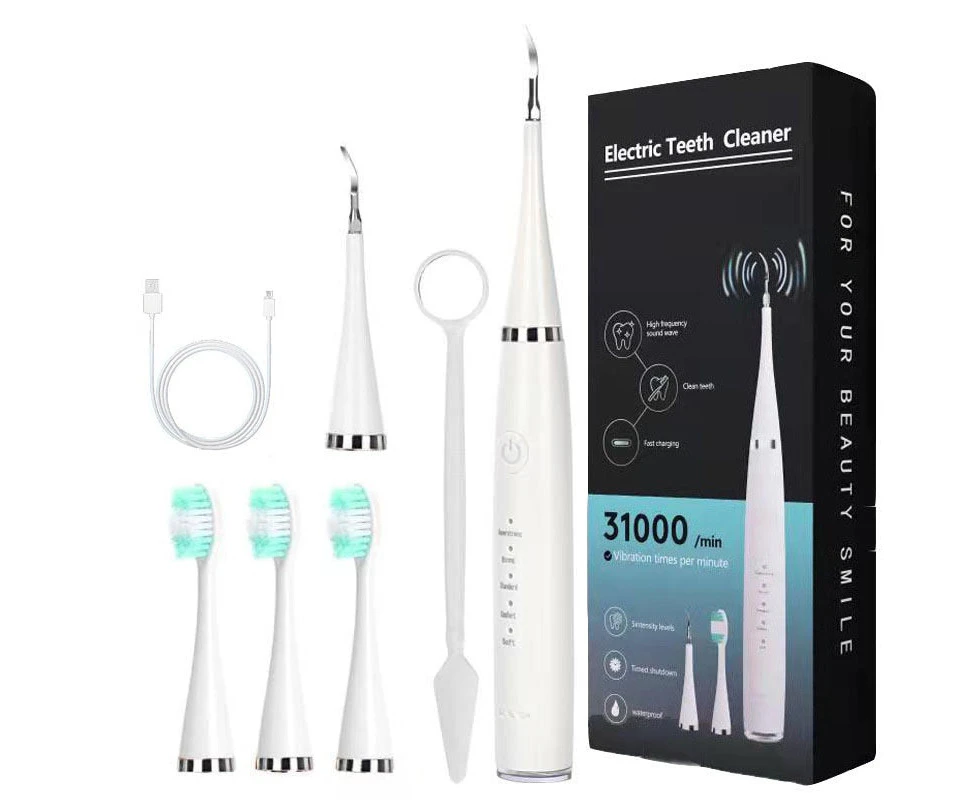 Smart Sonic Dental Scaler Electric Toothbrushes USB Rechargable s Toothbrush Dental Calculus Remover Tips Tooth Brush Heads - White