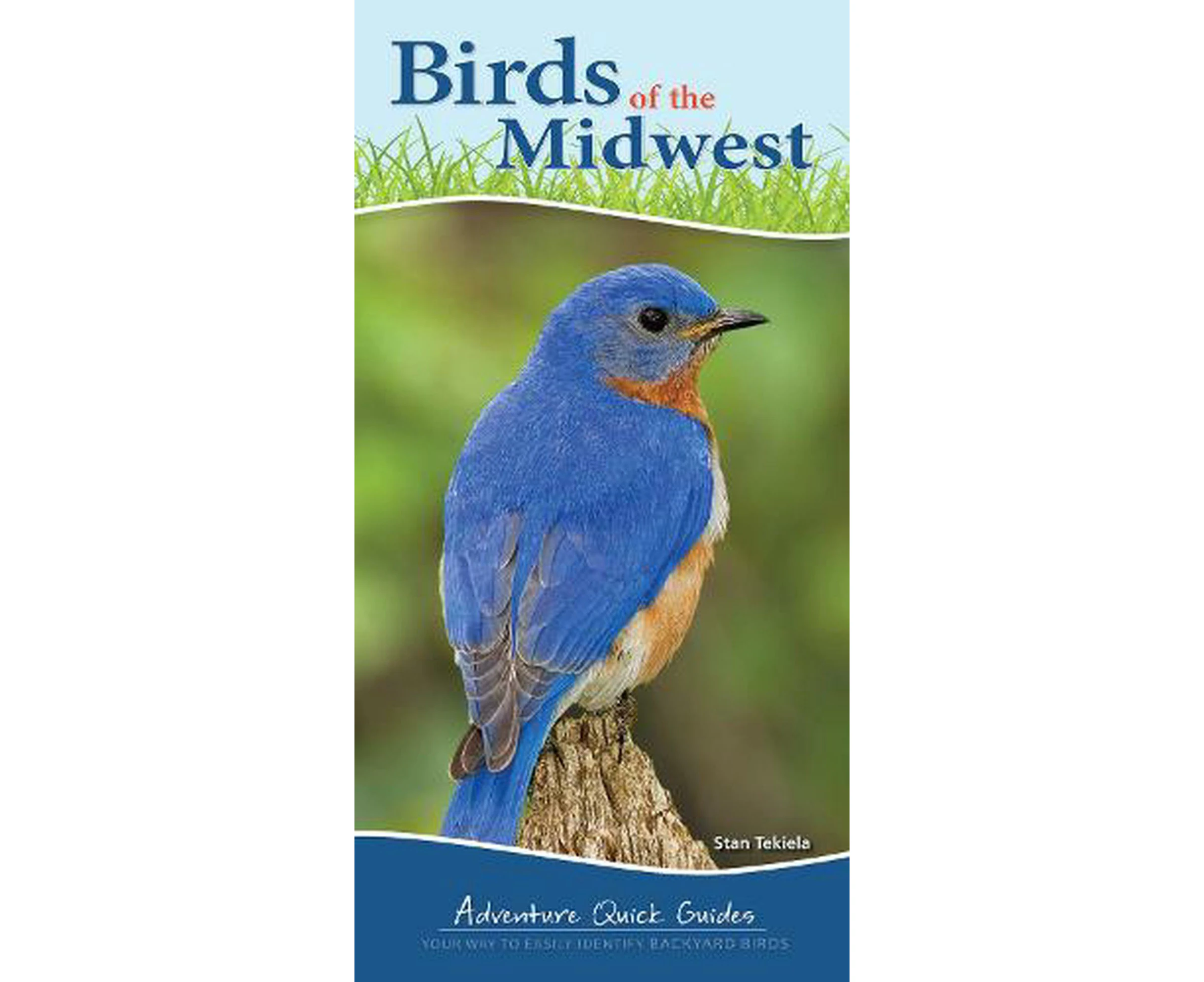 Birds of the Midwest