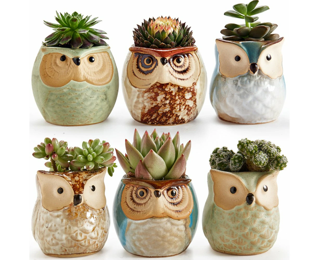 Owl Ceramic Succulent Plant Pots Set of 6 with Glaze and Drainage Hole