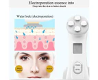 Skin Beauty Instrument Ultrasonic Face Massager - 5in1