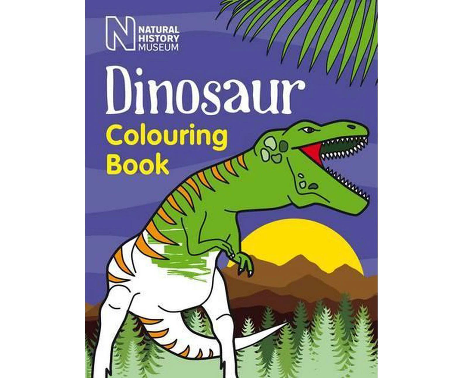 Dinosaur Colouring Book