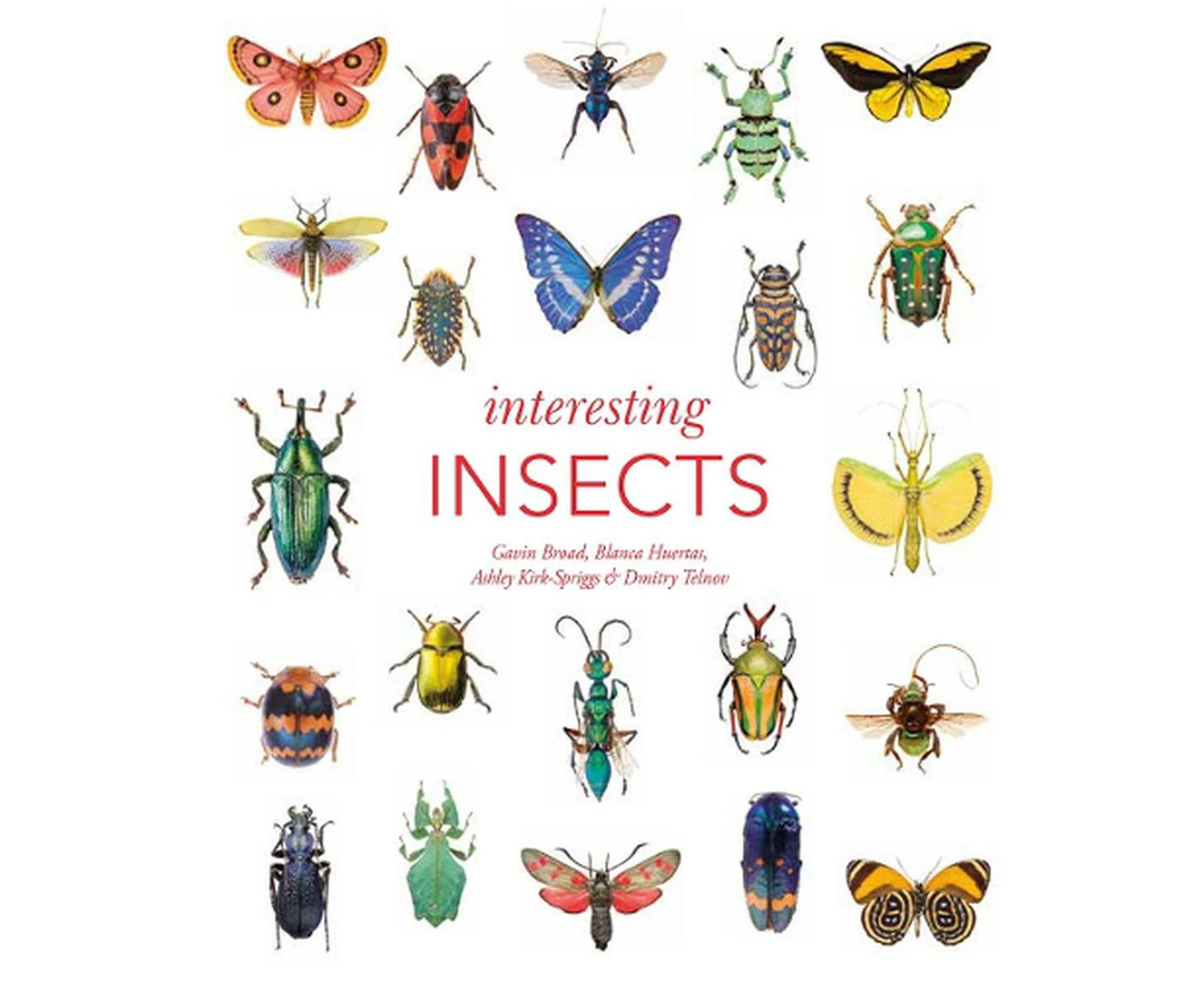 Interesting Insects