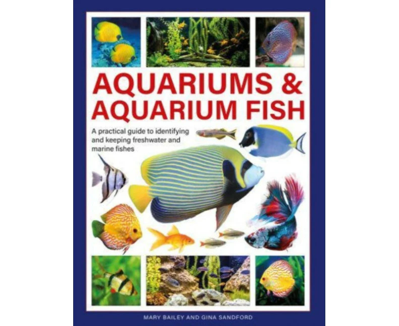 Aquariums  Aquarium Fish by Gina Sandford