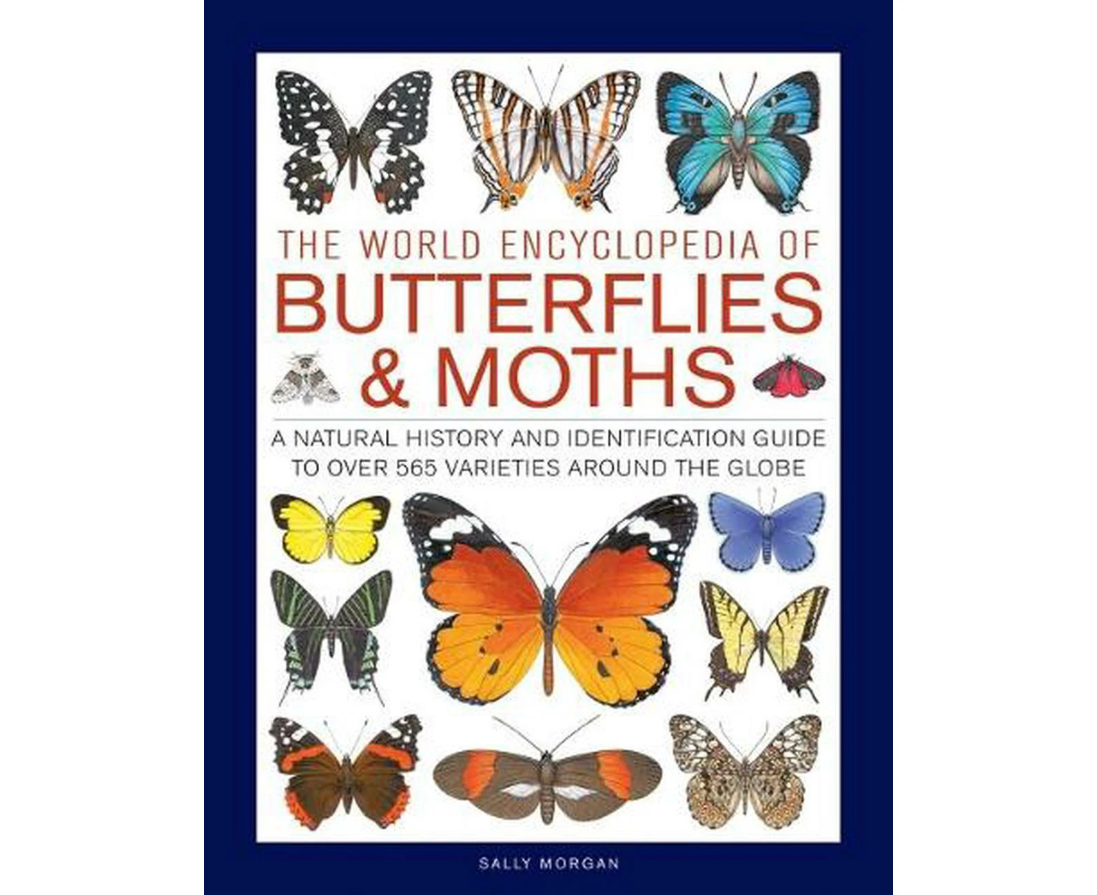 Butterflies & Moths, The World Encyclopedia of