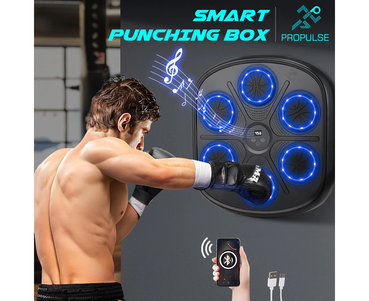 ProPulse Smart Punching Boxing Electronic Music Machine Home Training 9 Speeds