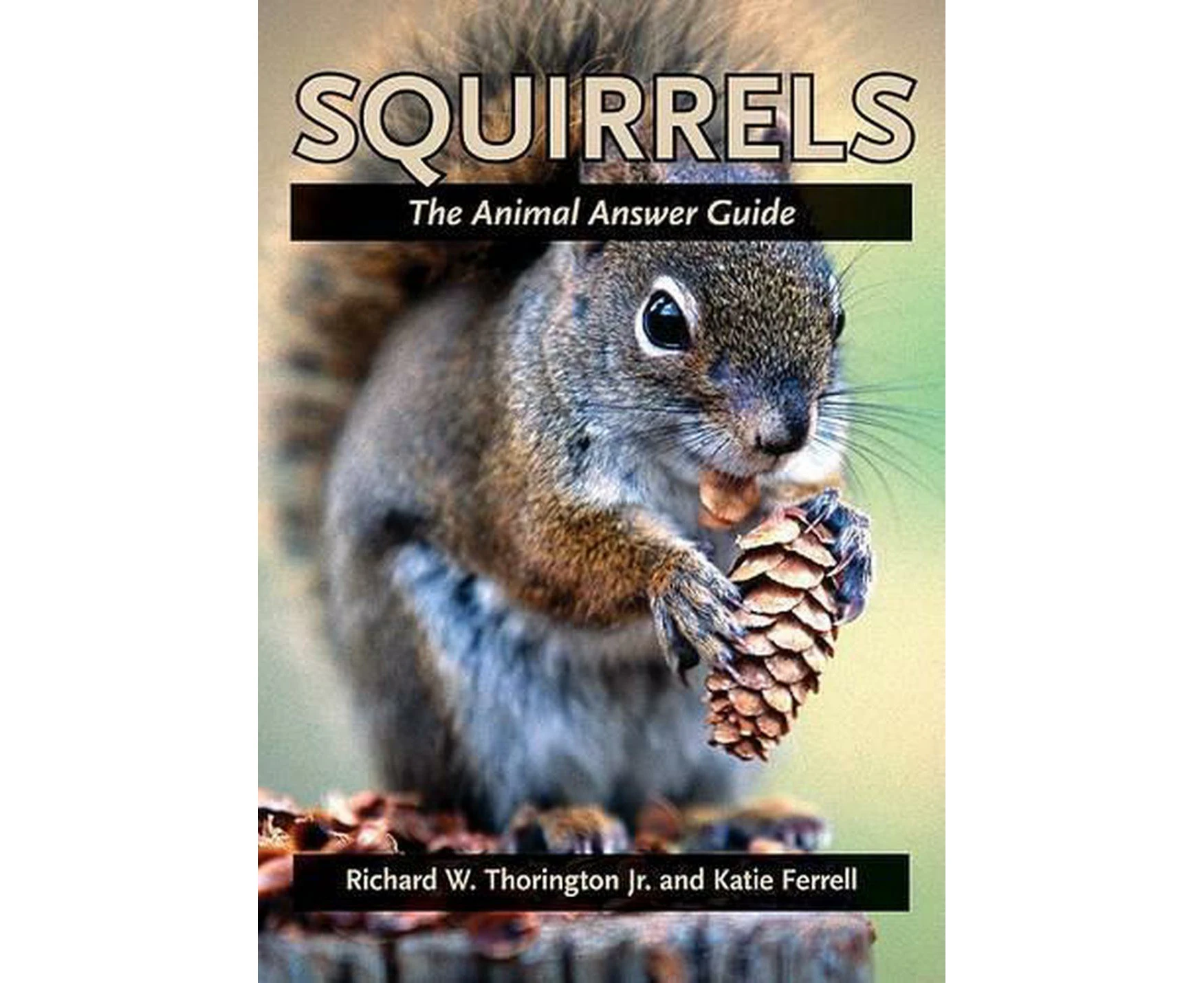 Squirrels