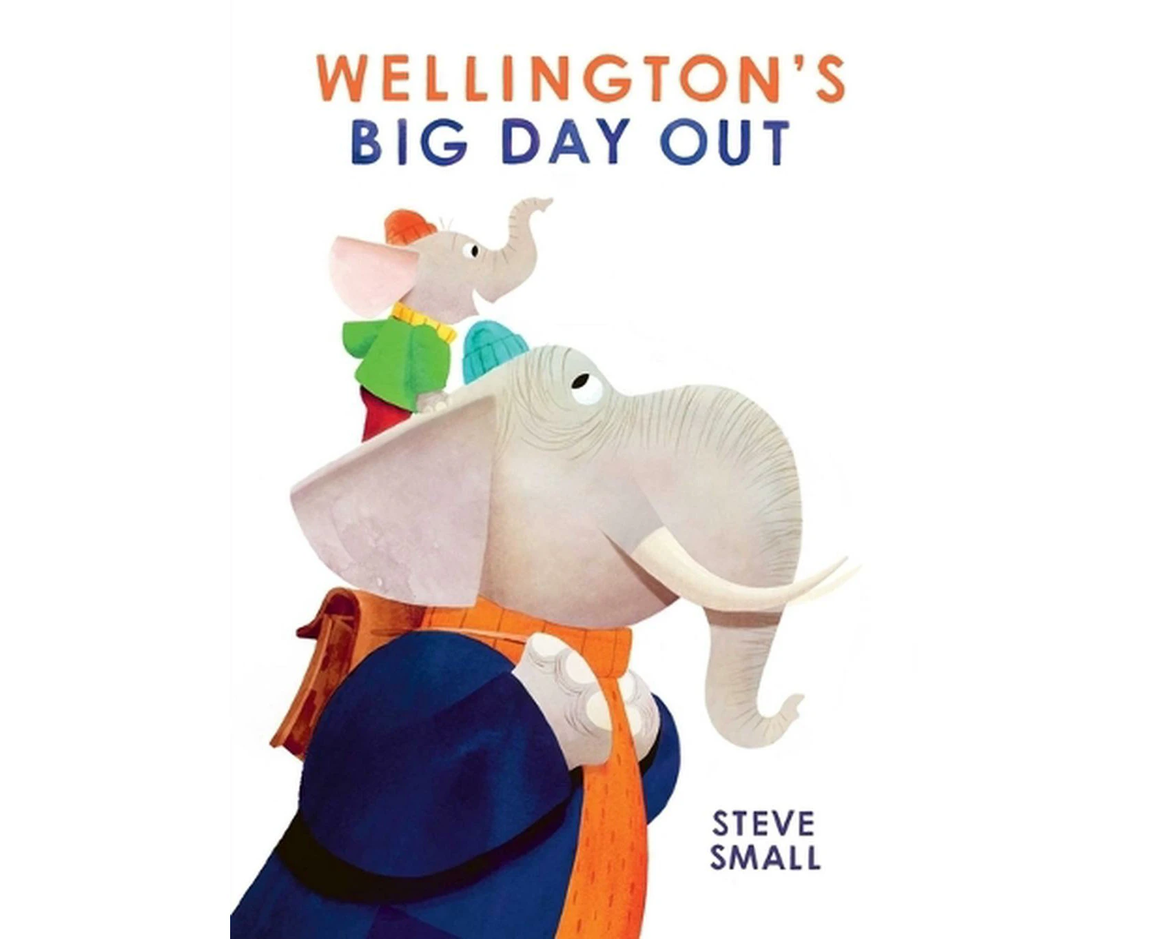 Wellington's Big Day Out