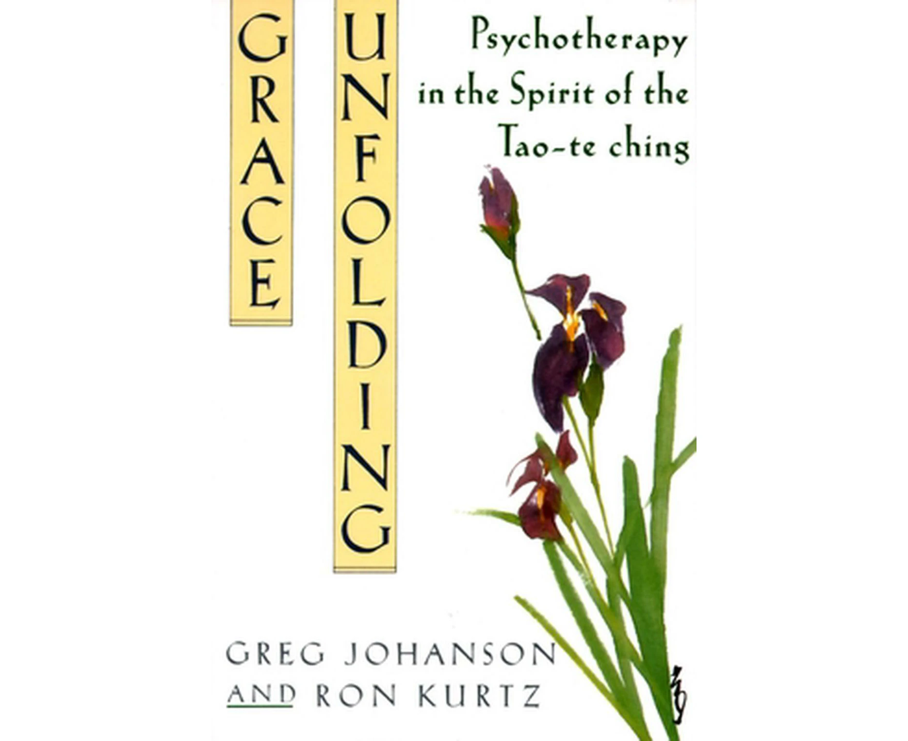 Grace Unfolding: Psychotherapy in the Spirit of Tao-Te Ching