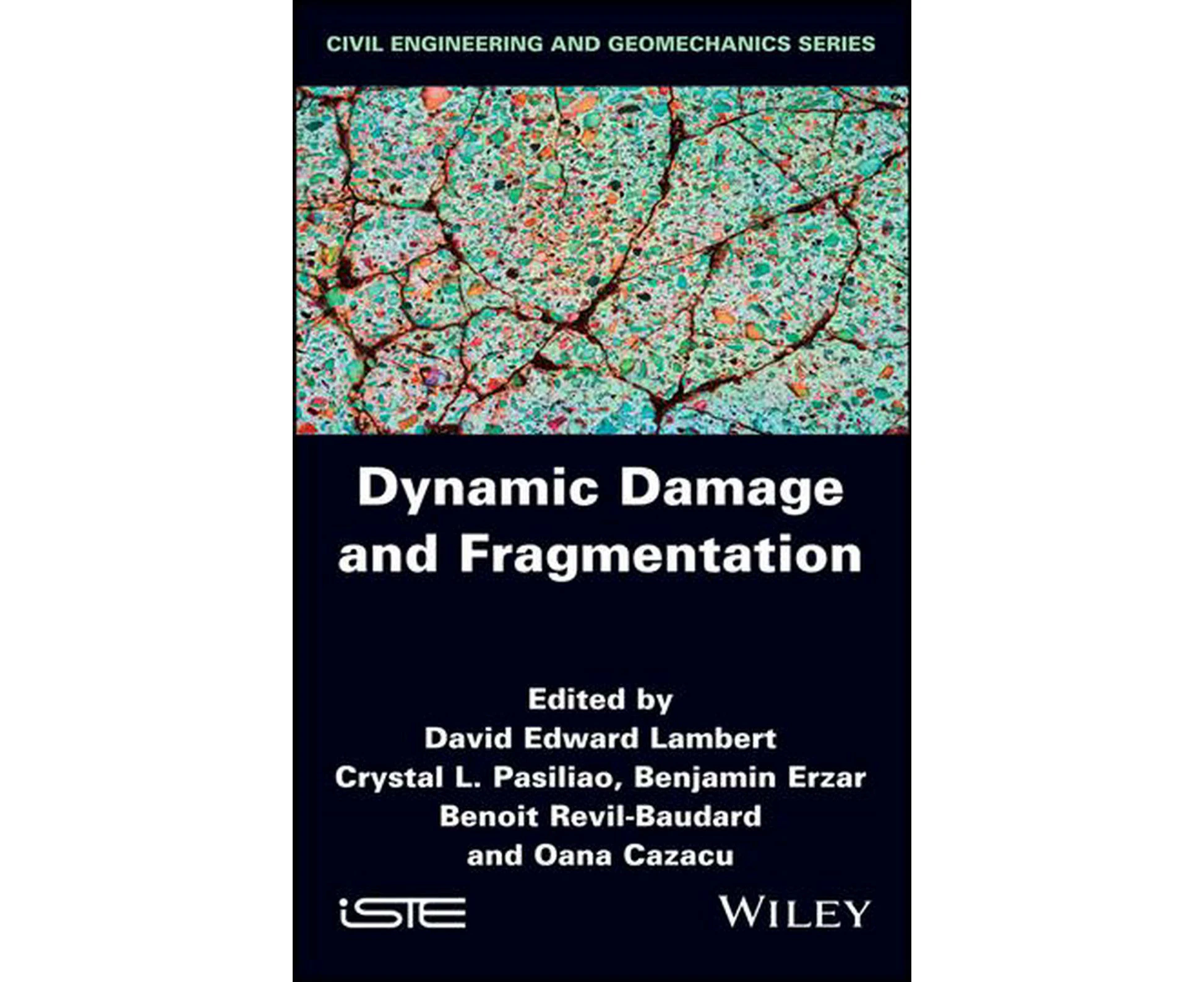 Dynamic Damage and Fragmentation